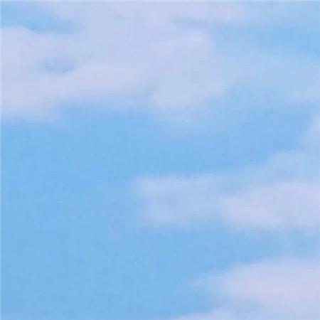 夏天的诗