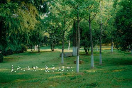 慎重选择