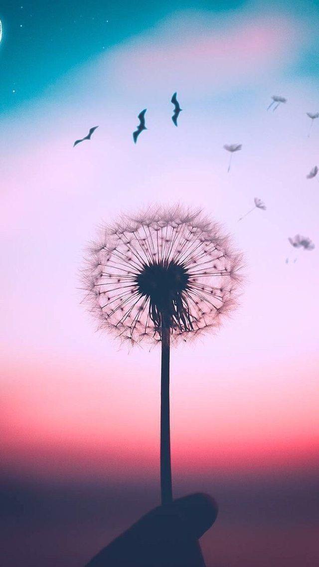精选伤感的句子短句/伤感语录