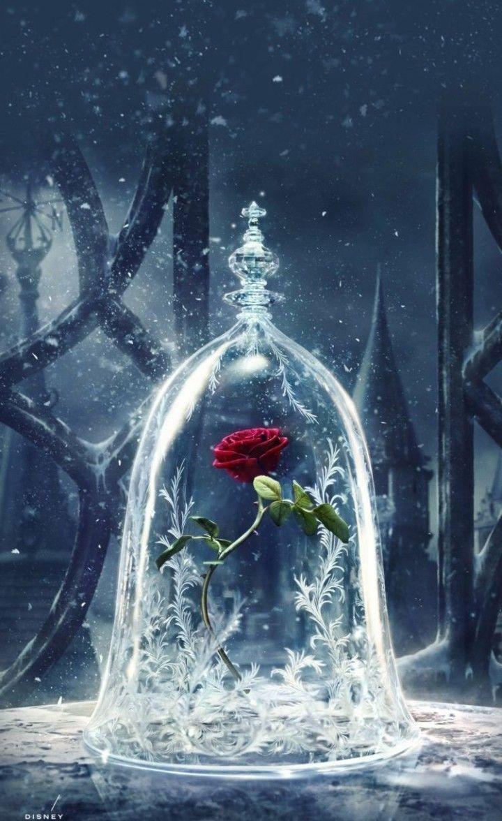 对自己要求严一点，就不会总是沮丧。