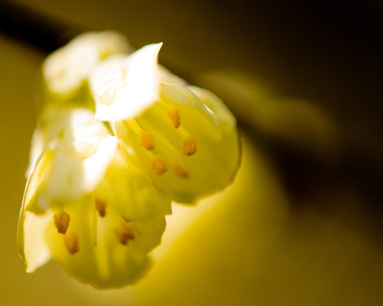 温暖人心的唯美短语·唯美短句