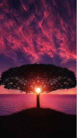 有些念念不忘,一辈子都不会有回响