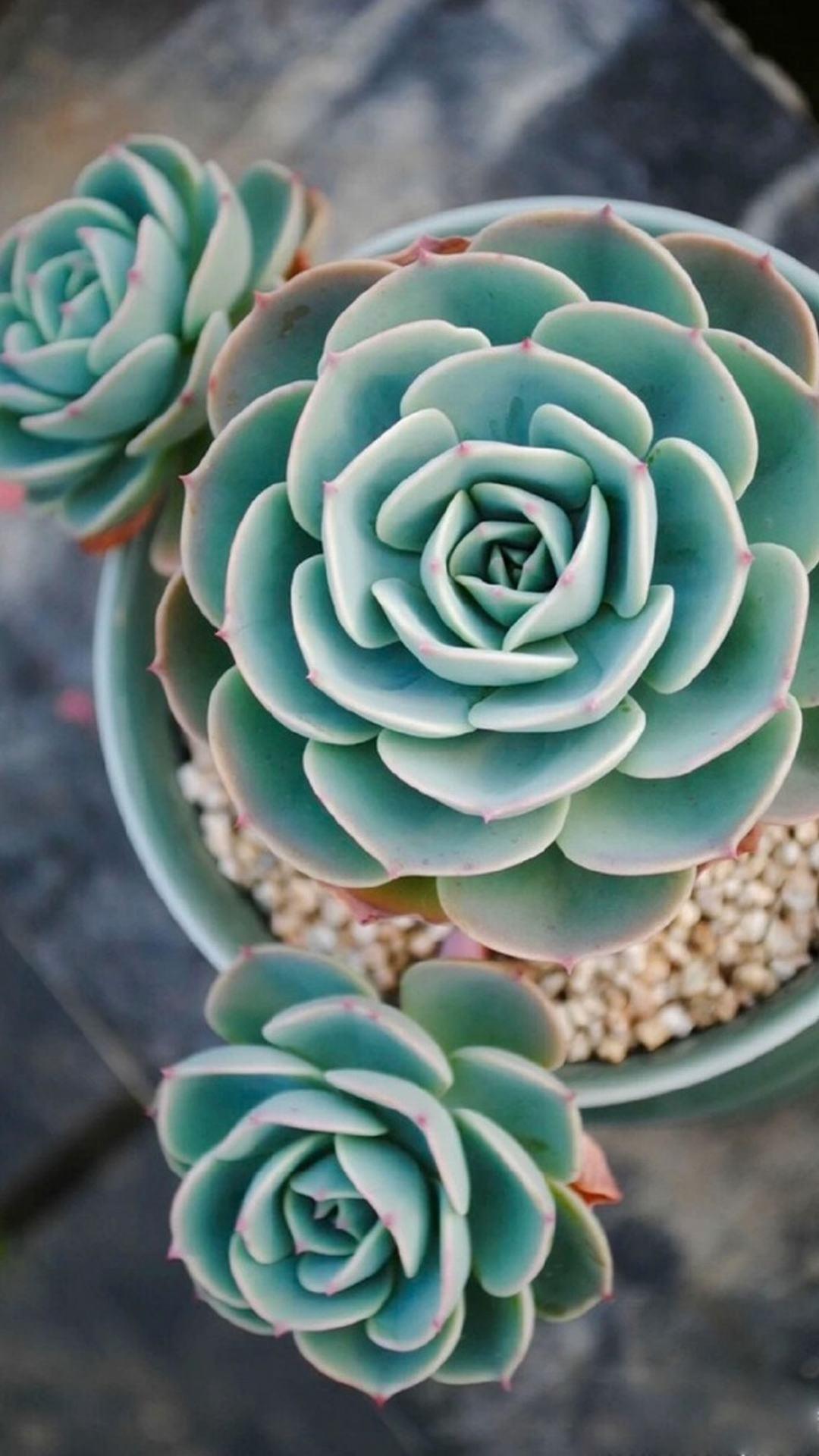 公交车上美丽的邂逅？