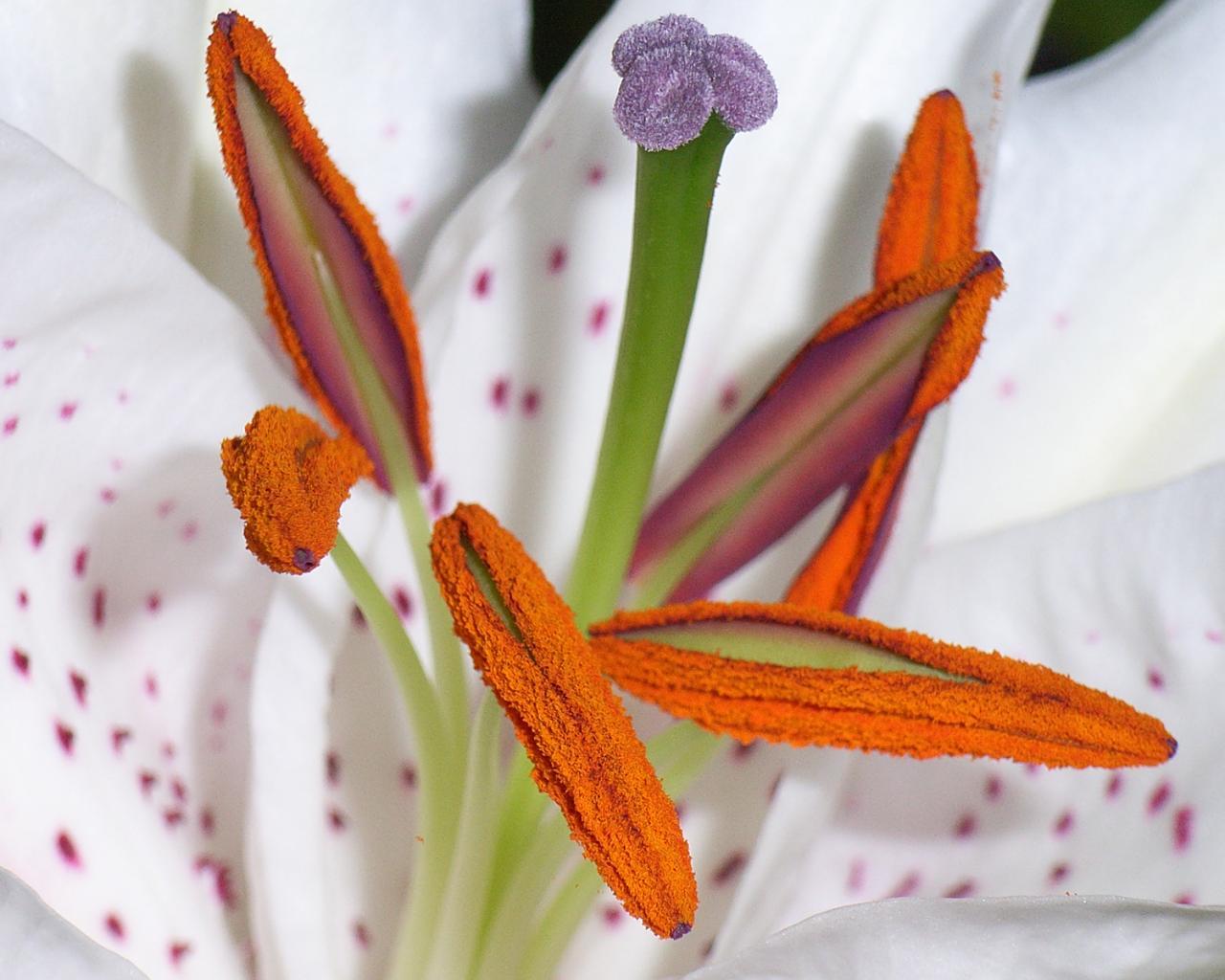 笑得肚子疼的搞笑句子·搞笑句子