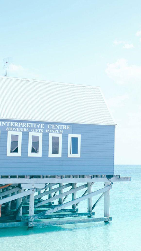 2011孟非的最新经典语录