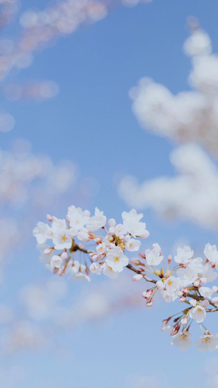 100句伤感的句子短句心情❤伤感句子