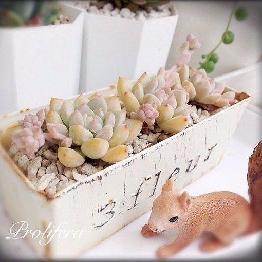把婚书烧了吧，它在离婚时才有用