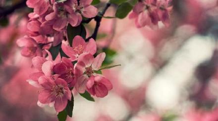 100句经典唯美的爱情语录,爱情短语