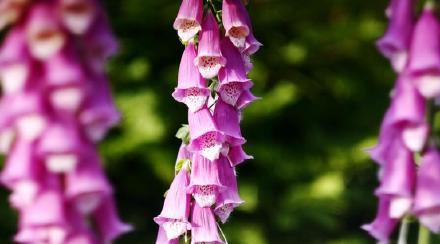 适合精心收藏的名人语录，名人短句