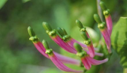 抖音很火的短句晚安_晚安短句