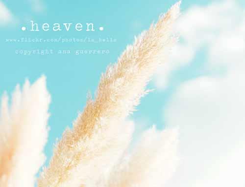 在一行诗里读你