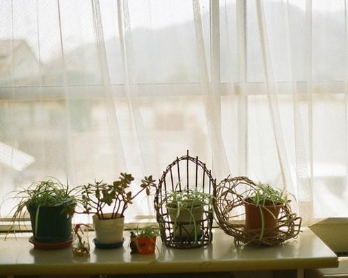 你是否遇到过这样好的女人-女人的信