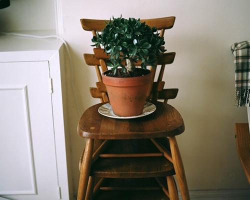 走过春天，走过四季