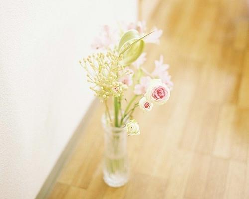 暮春的爱情,勇气可嘉