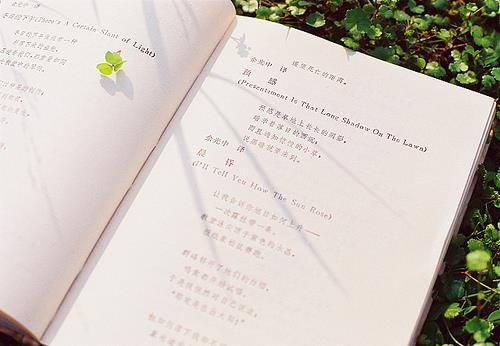 好的婚姻里,人人都有一张好看的脸