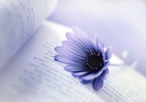 表达自己不如意的心痛的句子,不如意短句