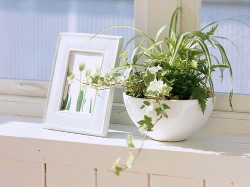 我老公我老公我老公