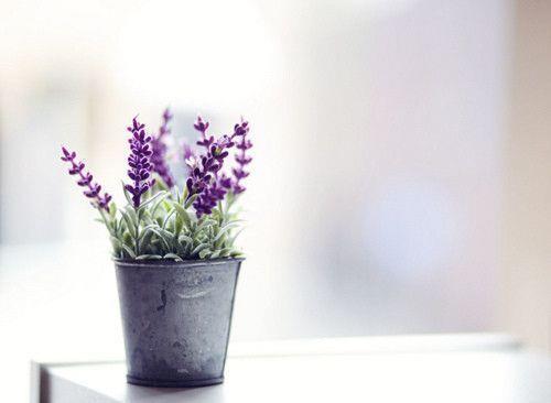 困惑我们人生的62个问题的答案