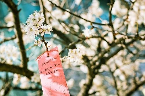 关于爱情的感悟很深的情感语录|爱情短语