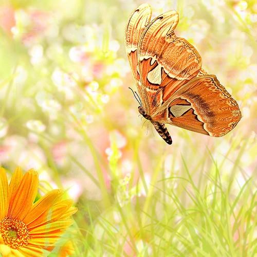 带上爱和选择上路