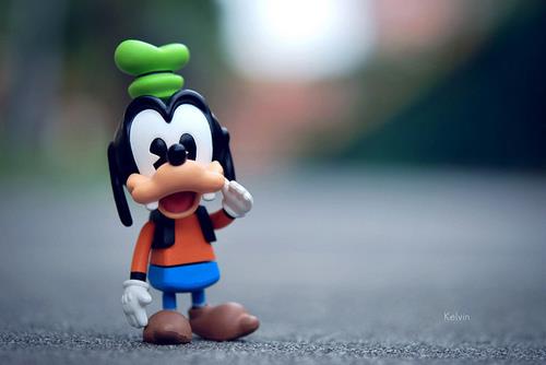 动物搞笑冷幽默