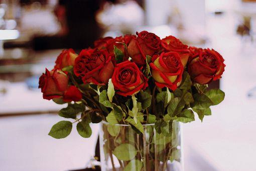 能够改变自己心态的励志名言警句