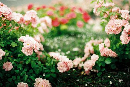 笑死人的手机短信,不偿命啊