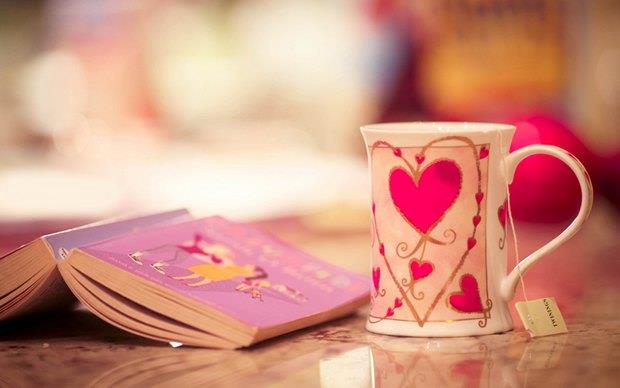 宠物店之猴面鹰