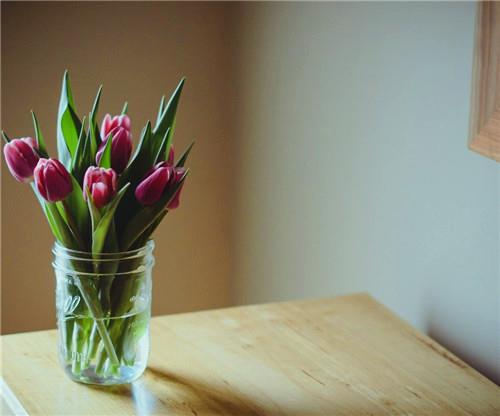 关于亲情的美文摘抄