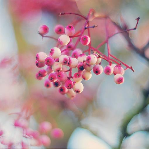 水鬼的眼泪之前世今生