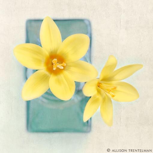 激励年轻人勇敢无畏的励志名言