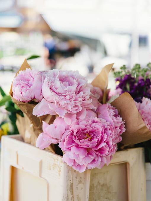 父亲节美文摘抄：以父为名