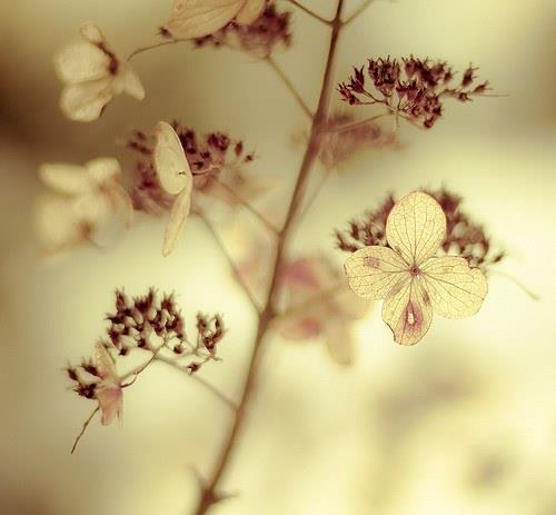 黑名单里的爱情