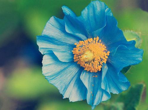 100句非常精辟励志的句子