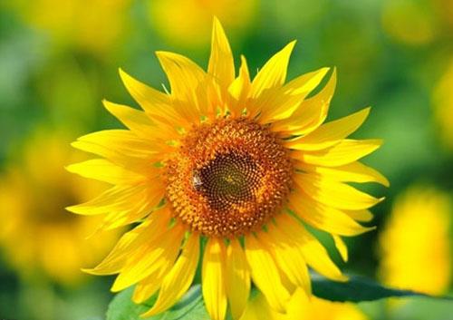 有一种感情，正离我们远去