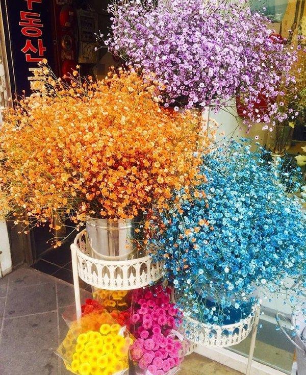 那个被毁清白的女孩