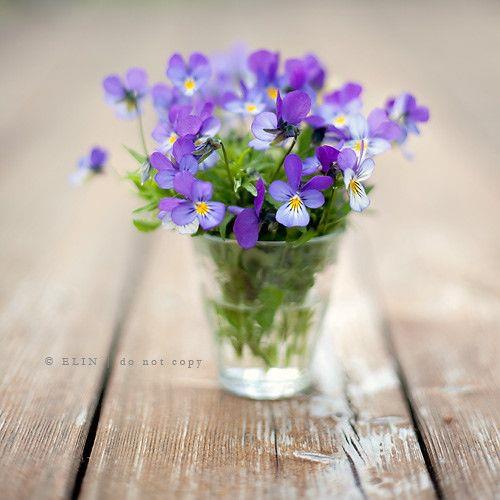 感同身受的情感句子100句❤情感短句