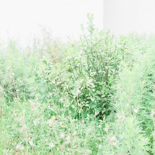 伤心的句子,伤心的个性签名