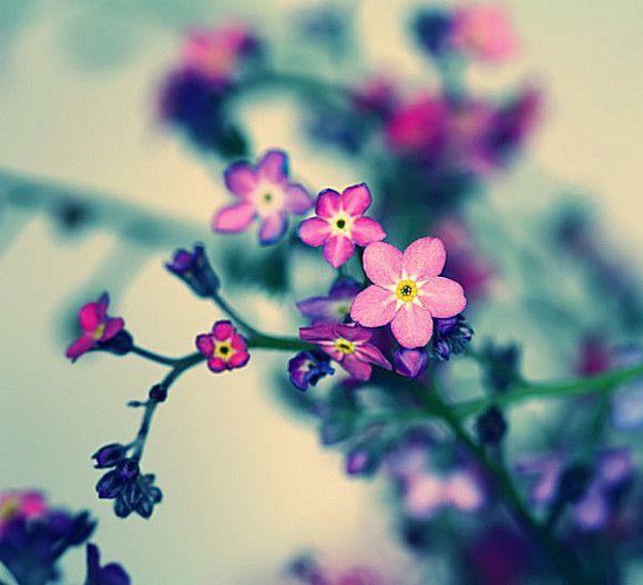 精选关于书的名言警句90句