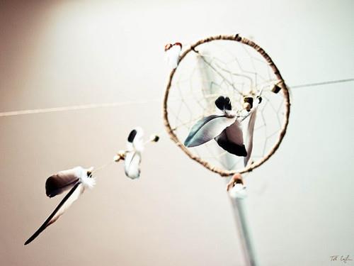 她一次次离家出走让我渐渐不再相信爱情