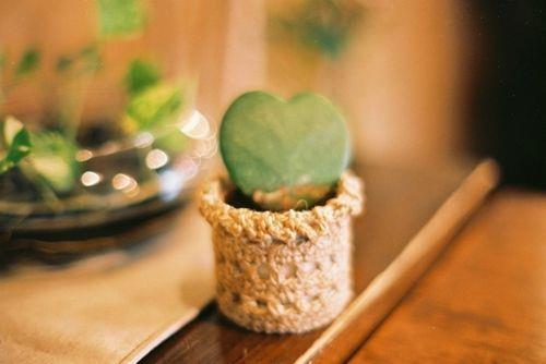 烽火佳人，带走了雨季等待的谁