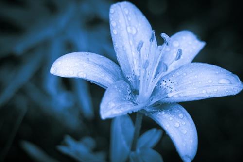 朋友订婚祝福语个性说说短语大全精选