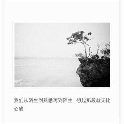 驴子的故事