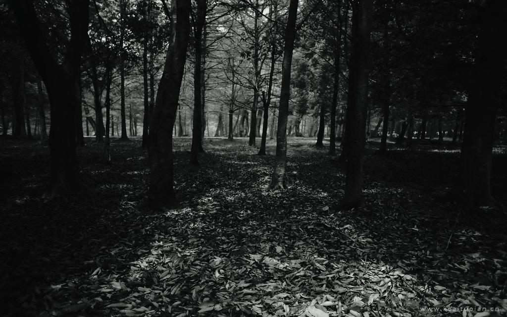 那些玩笑话中，总参杂着真心话。