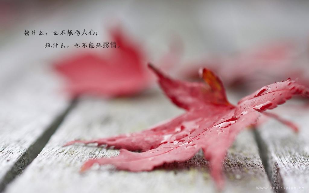 零点学院（四） 最终章 下