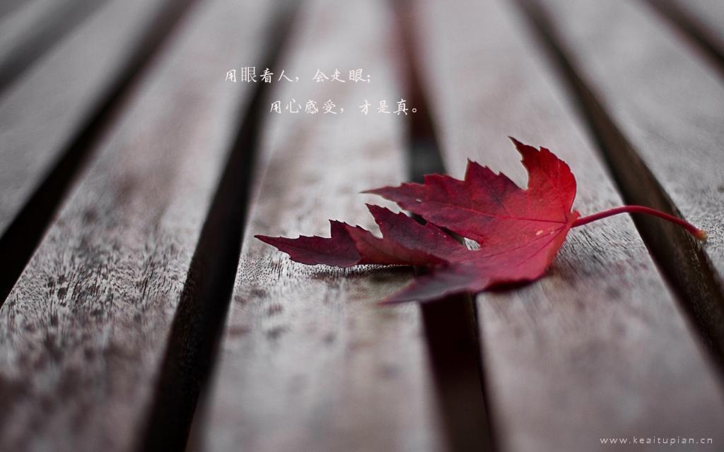 浅言，爱你