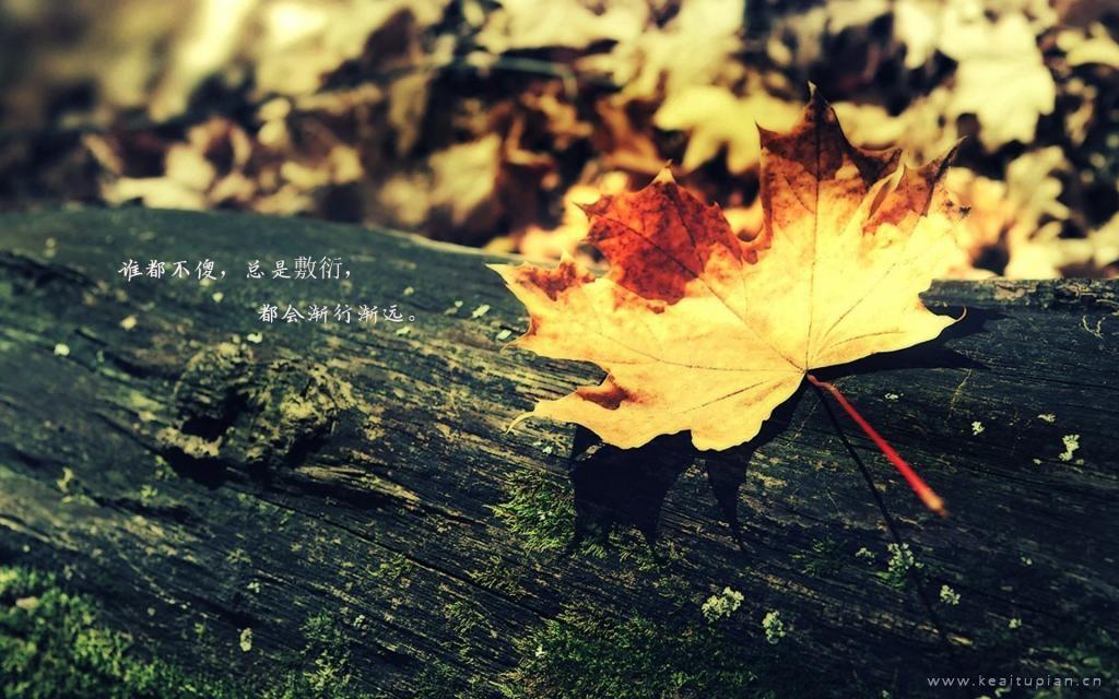 午夜玩游戏