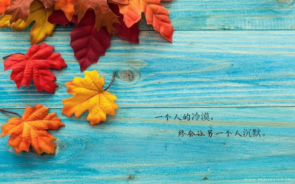 黑段子-娟子