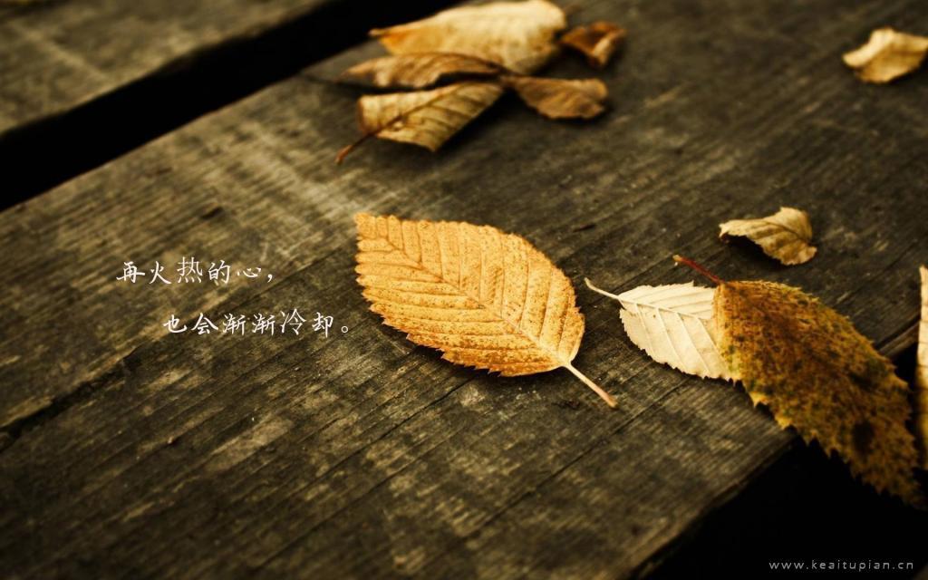 你是站着，还是坐着