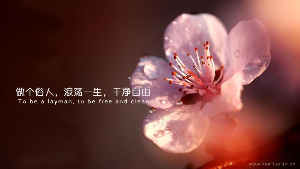 什么是重要的事情？
